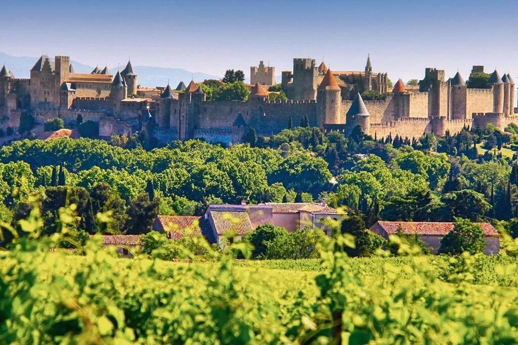 Belle Demeure De Caractere * Carcassonne